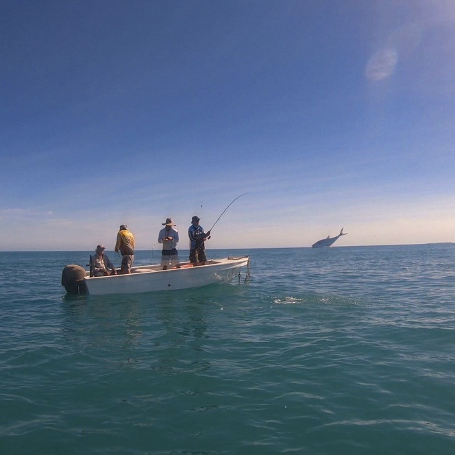 four men in a boat landing a jumping fish