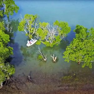 Fishing mangrove estuary in Arnhem Land NT