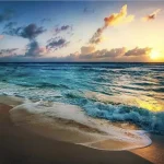 Untamed Waters