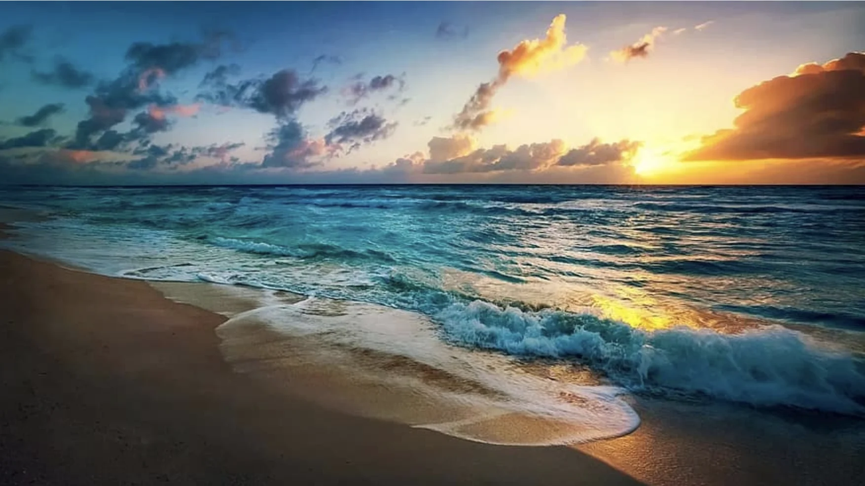 Untamed Waters